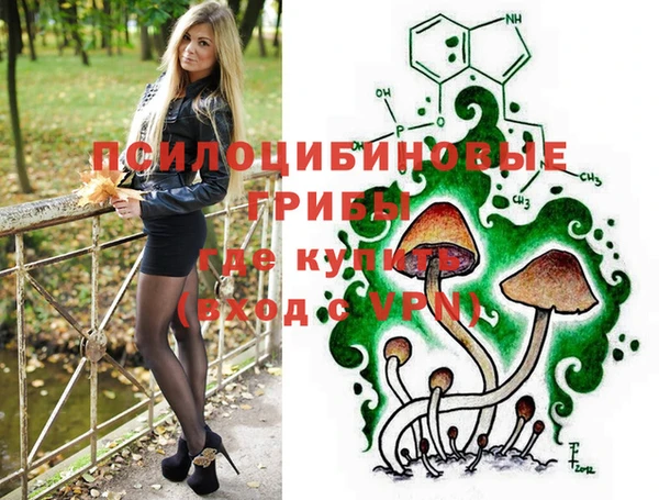 apvp Алексеевка