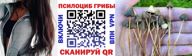 Галлюциногенные грибы прущие грибы Ухта